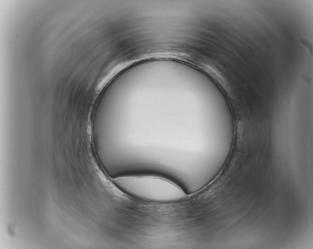 X0000100491428200806130745