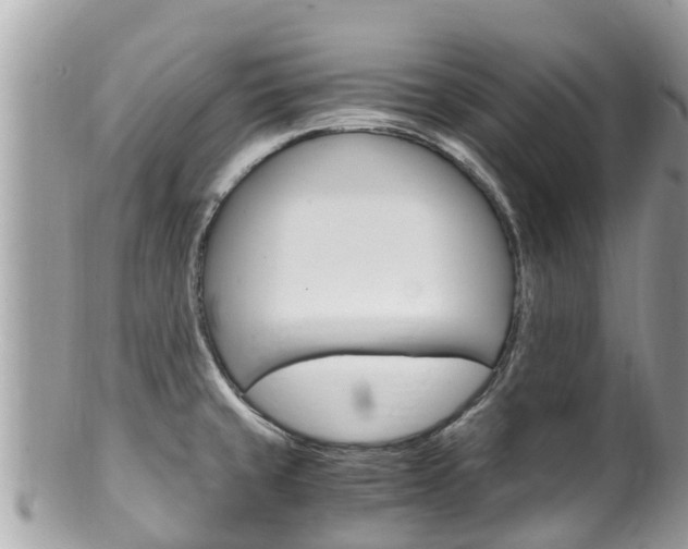 X0000100491429200806130745