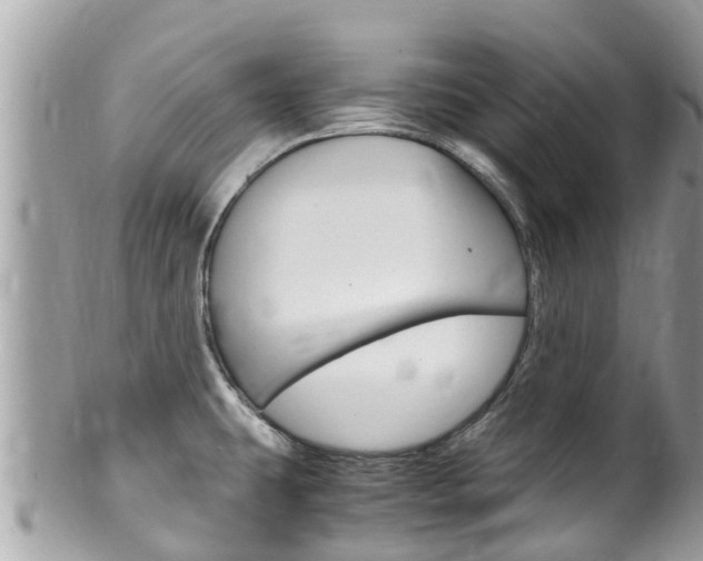 X0000100491431200806130745