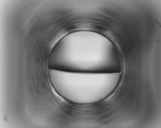 X0000100491433200806130745