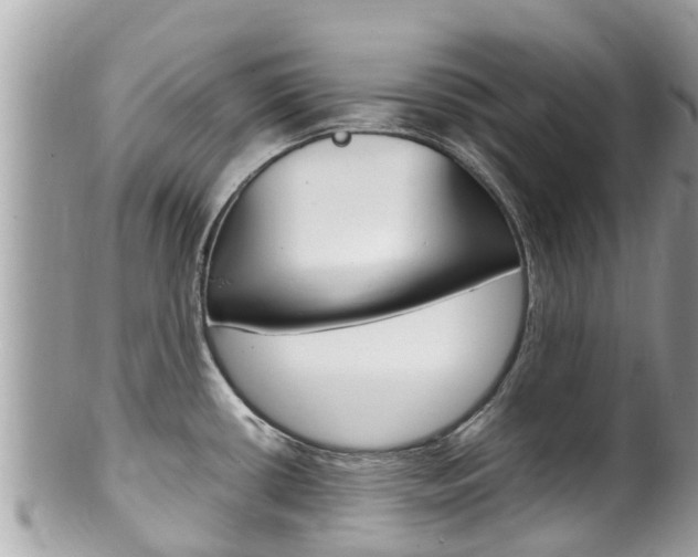 X0000100491434200806130745