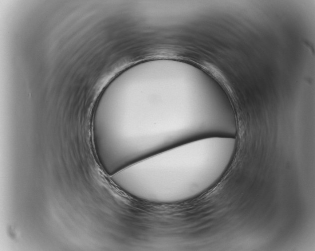 X0000100491435200806130745