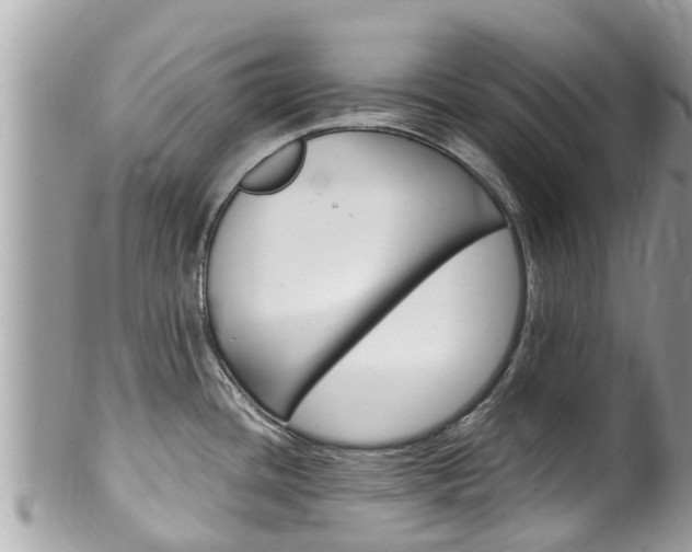 X0000100491436200806130745