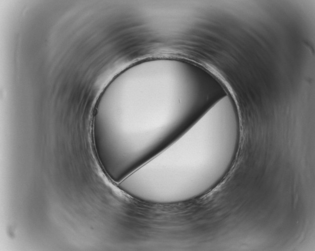 X0000100491437200806130745