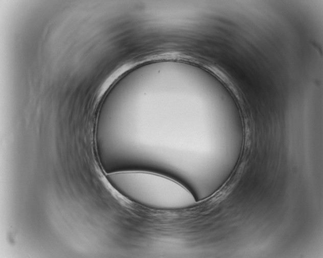 X0000100491438200806130745