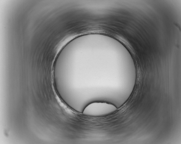 X0000100491439200806130745