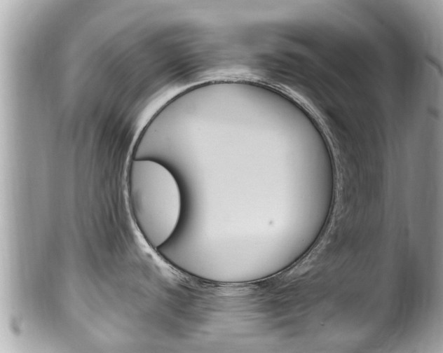 X0000100491440200806130745
