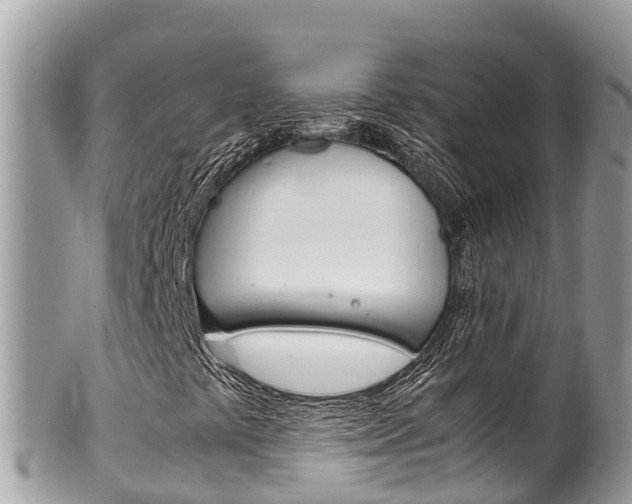 X0000100491441200806130745