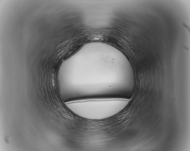 X0000100491442200806130745