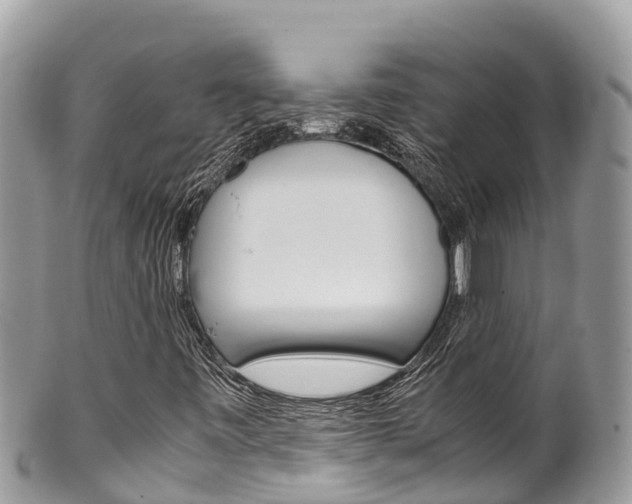 X0000100491443200806130745