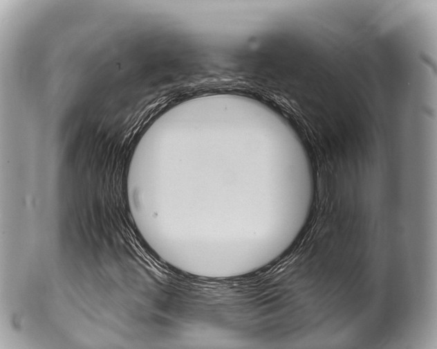 X0000100491444200806130745