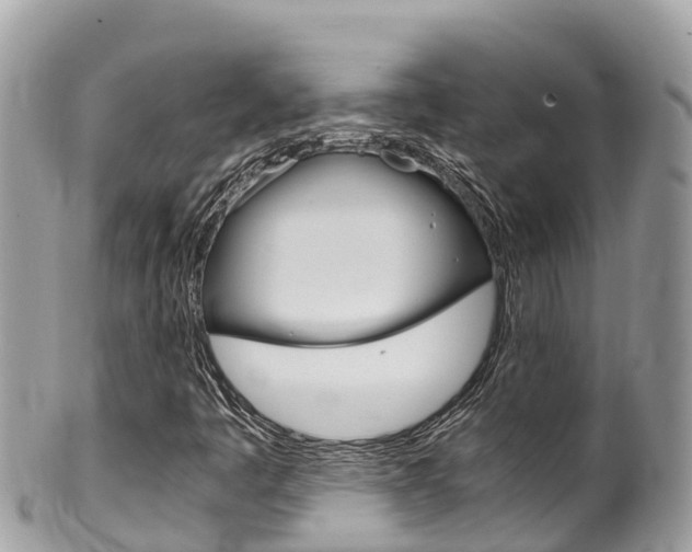 X0000100491445200806130744