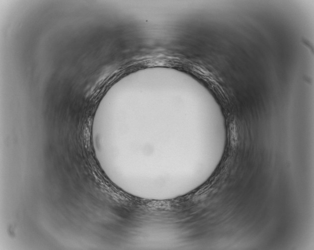 X0000100491446200806130744