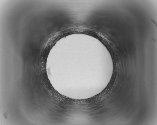 X0000100491447200806130744