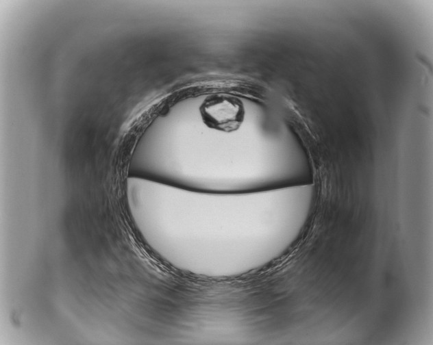 X0000100491448200806130744
