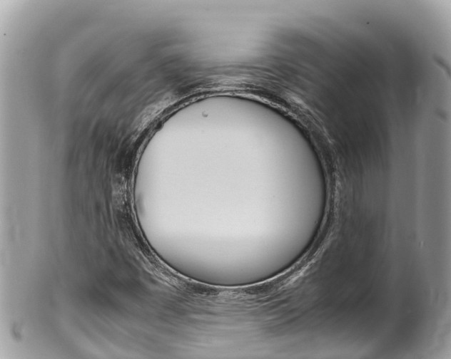 X0000100491449200806130744
