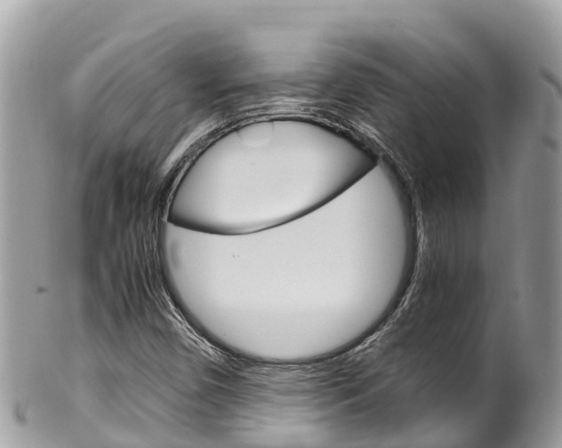 X0000100491450200806130744