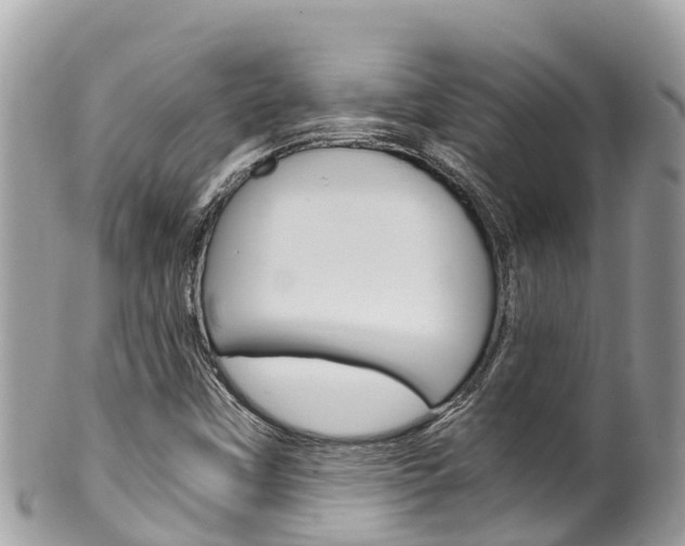 X0000100491451200806130744