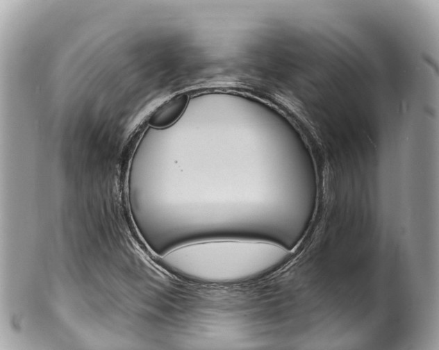 X0000100491452200806130744