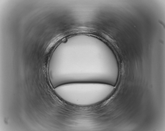 X0000100491453200806130744
