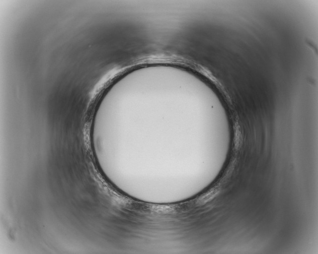 X0000100491454200806130744