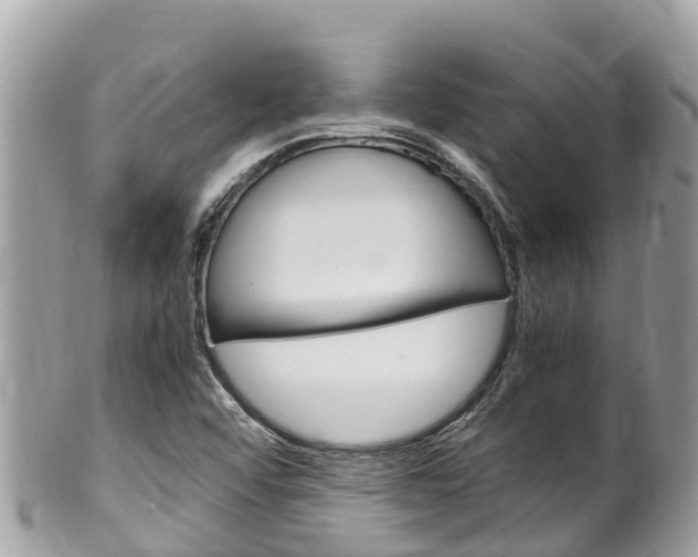 X0000100491456200806130744