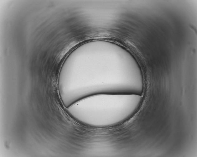 X0000100491457200806130744