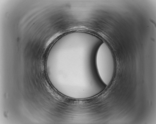 X0000100491458200806130744