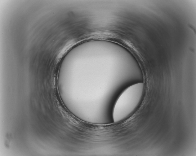 X0000100491459200806130744