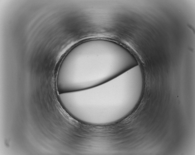 X0000100491460200806130744
