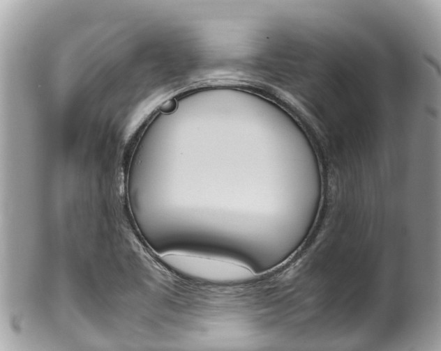 X0000100491461200806130744