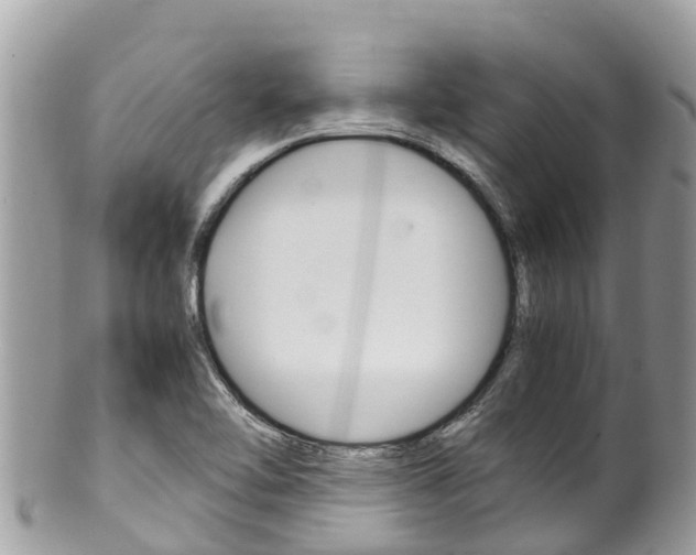 X0000100491462200806130744