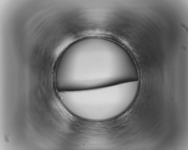 X0000100491463200806130744