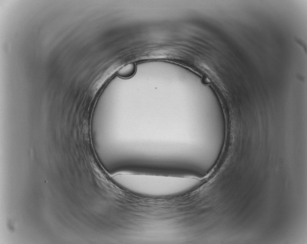 X0000100491465200806130744