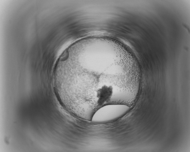 X0000100491467200806130744