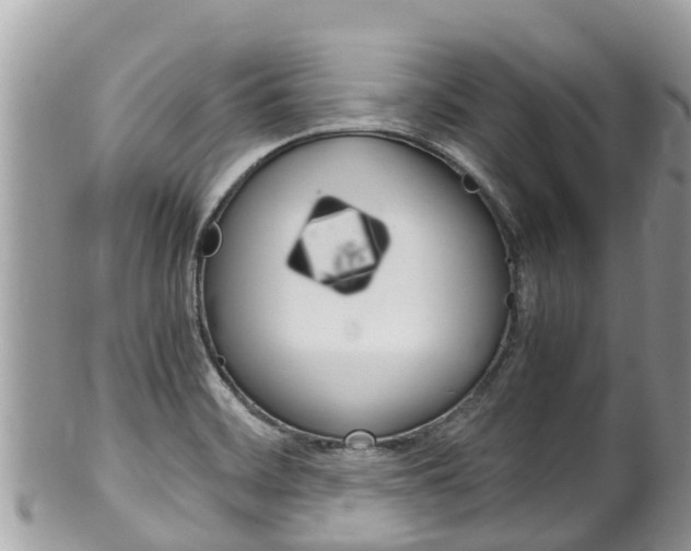 X0000100491468200806130744