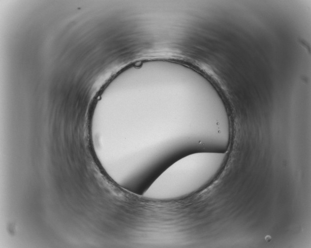X0000100491469200806130744