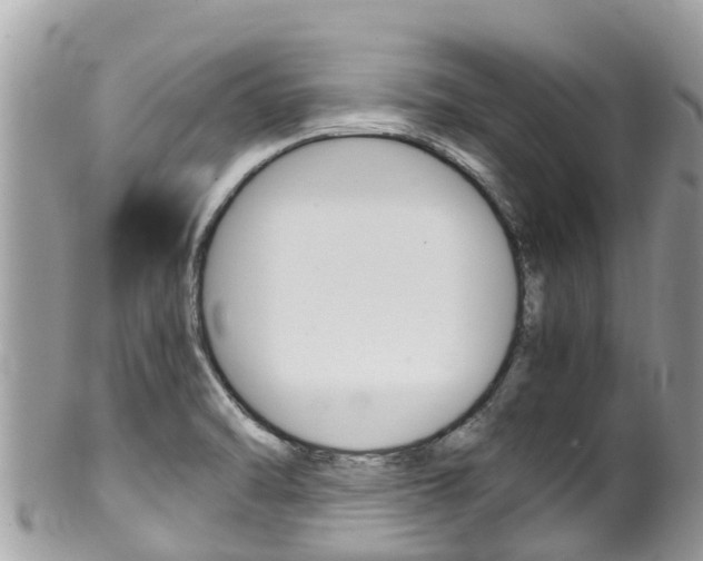 X0000100491470200806130744