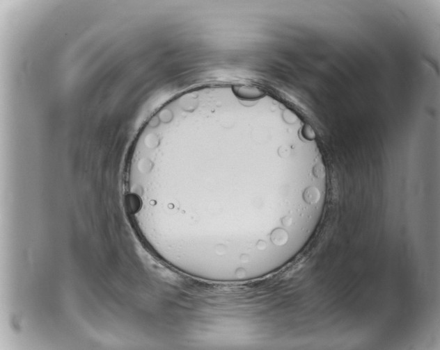 X0000100491471200806130744