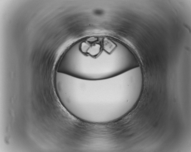 X0000100491472200806130744