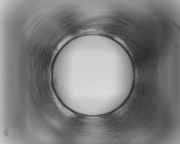 X0000100491474200806130744