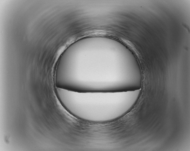 X0000100491475200806130744
