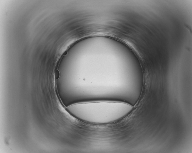 X0000100491476200806130744