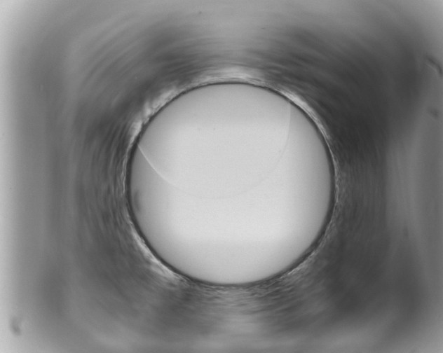 X0000100491477200806130744