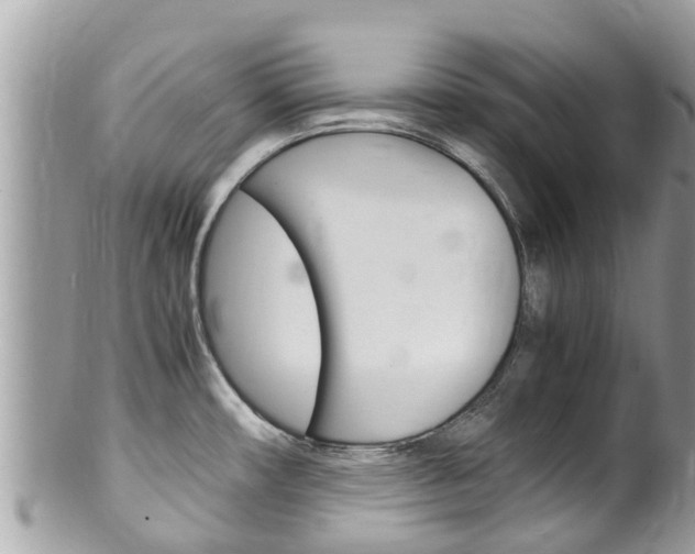 X0000100491482200806130744