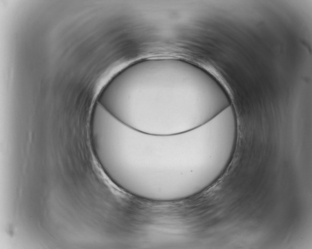 X0000100491485200806130744