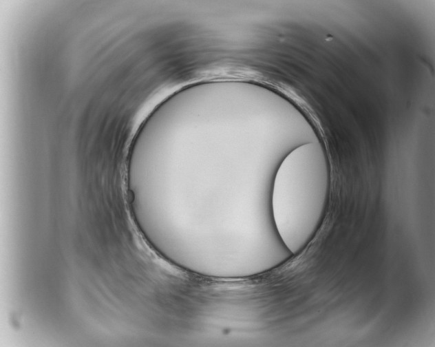 X0000100491486200806130744