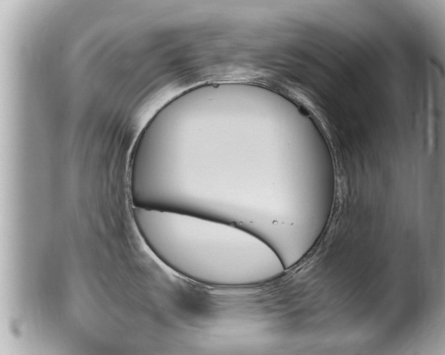 X0000100491487200806130744