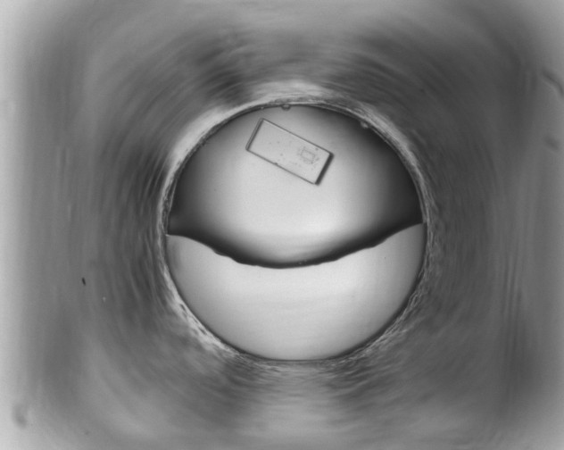 X0000100491488200806130744