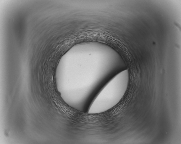 X0000100491489200806130743